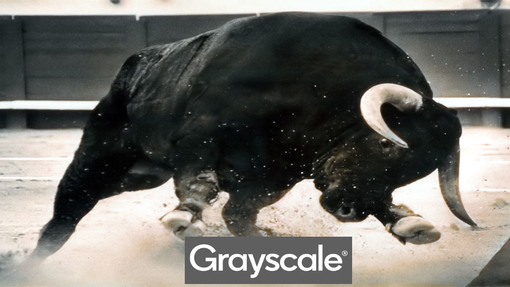 Grayscale Bitcoin Trust is traded at a premium price