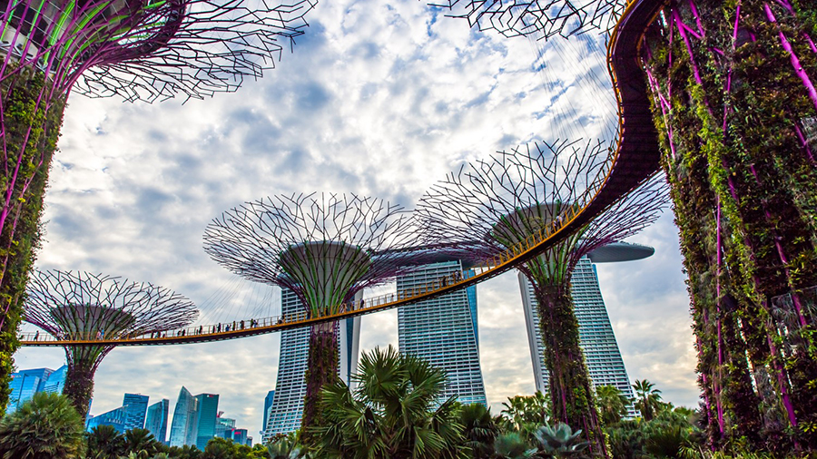 Singapore will cancel the tax on goods and services for cryptocurrency