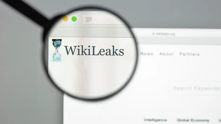 During its existence, WikiLeaks received more than $ 46 million in BTC