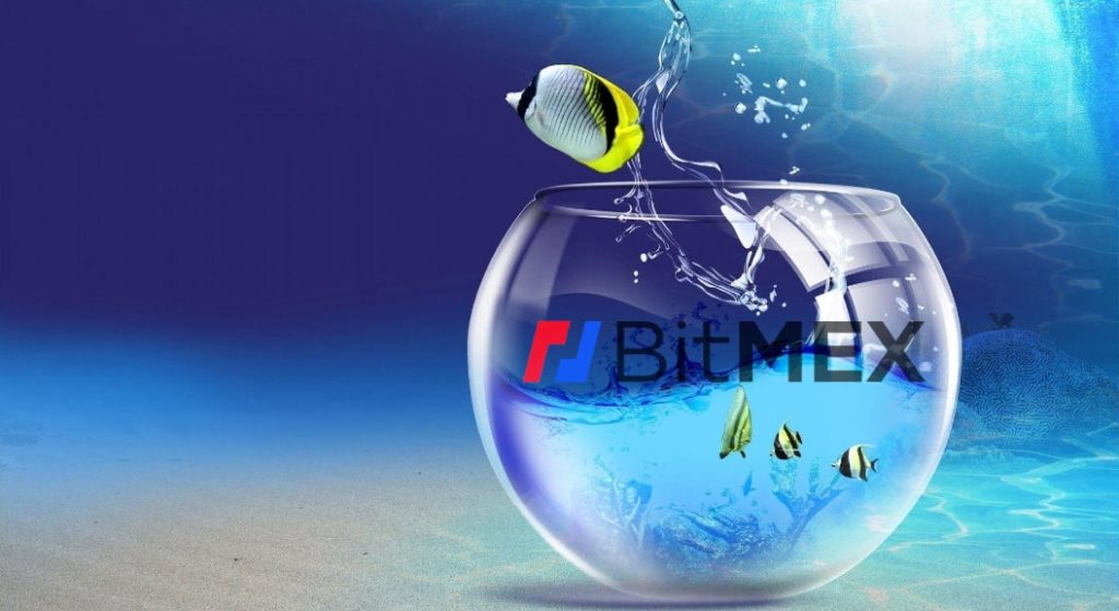 BitMEX precautionary measures for users