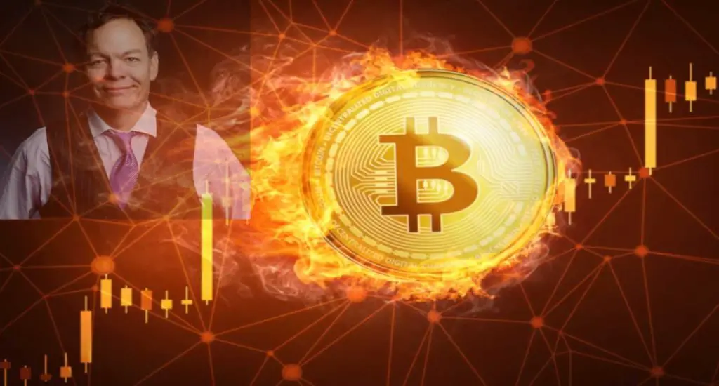 Bitcoin dominance in the crypto market reaches 80%