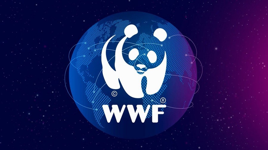 ConsenSys and WWF Launch Charity Platform