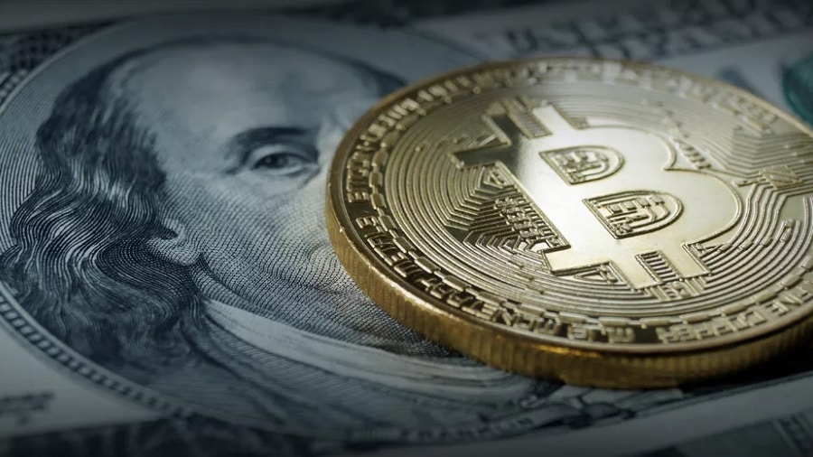 in the U.S., the number of cryptocurrency owners doubled in 2019