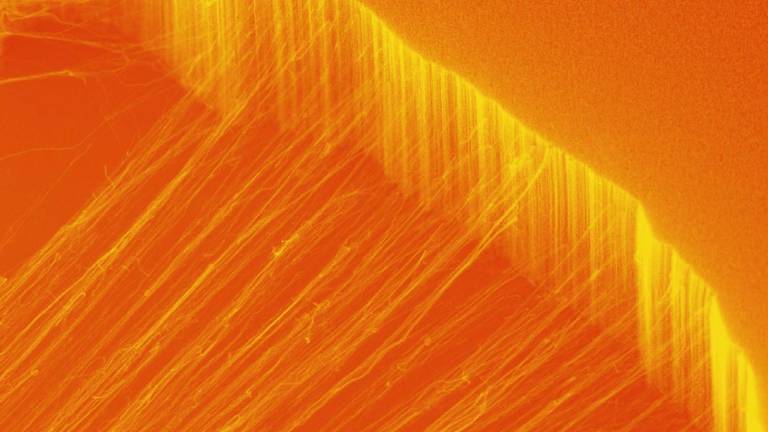 Created a material that conducts heat in one direction