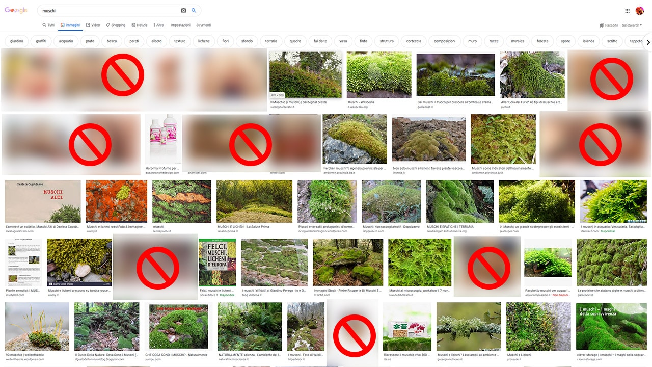Why if you type MUSCHI on Google Images explicit pornographic photos come out?
