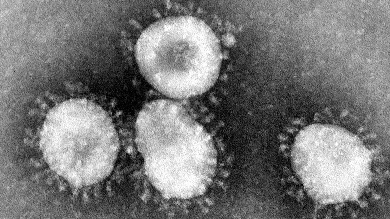 Coronavirus and the need for public access to scientific studies
