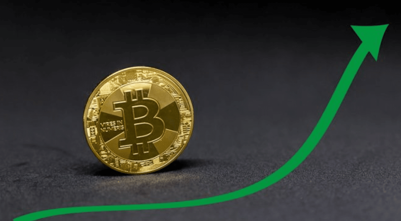 Highest Daily Profit in Bitcoin (BTC) Since October 2019