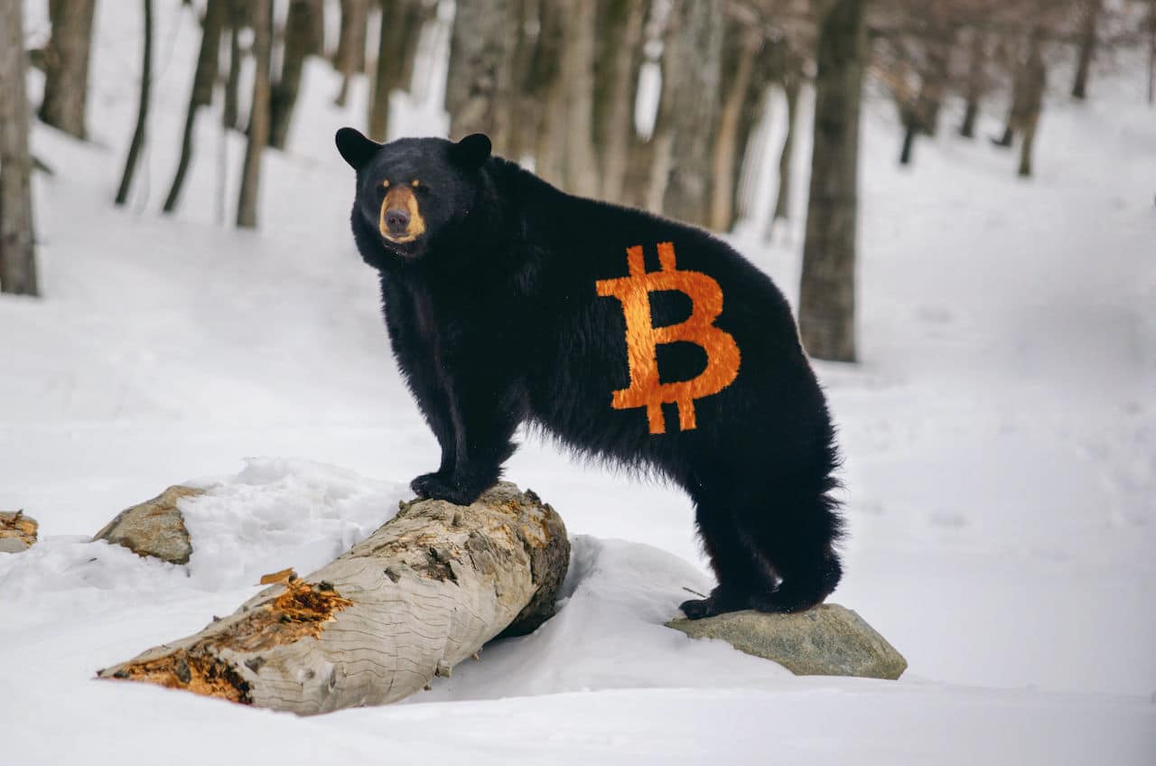 Top 4 Ways to Accumulate Satoshi While in the Bitcoin Bear Market