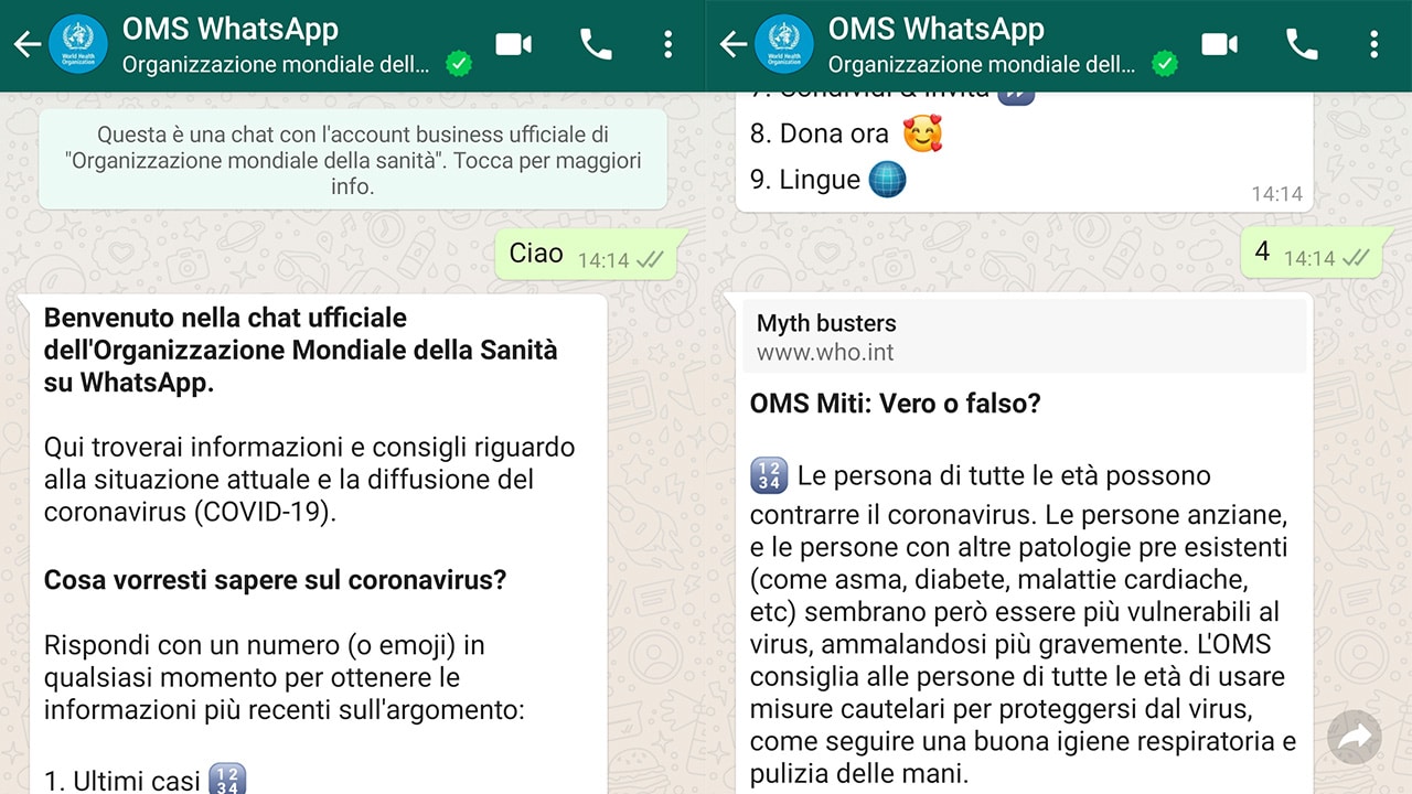 The information service on the WHO COVID-19 on Whatsapp now also in Italian