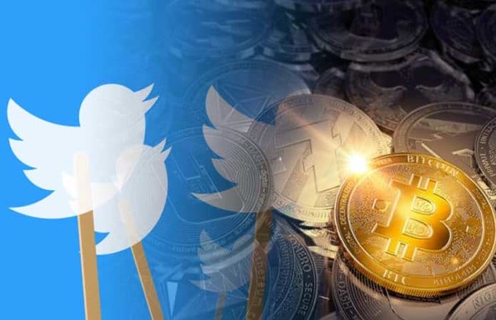 Perché Twitter va contro la sua Crypto community? - Twitter Poll About Half Of All Crypto Traders Hold More Altcoins Than Bitcoins 696x449 1