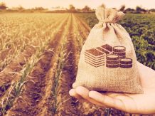 Yield Farming: What is it how to make money on it, features and risks of Yield Farming
