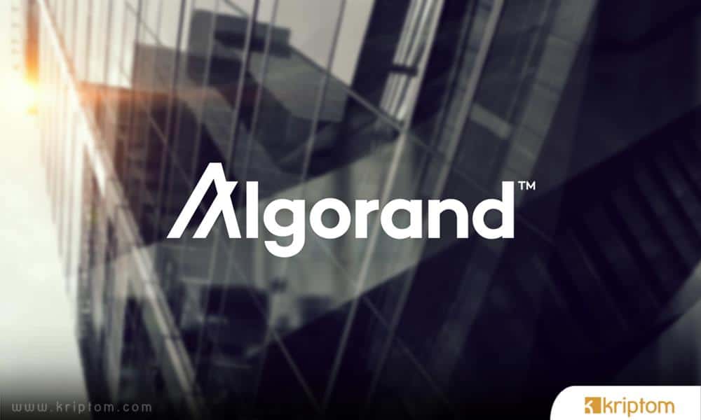 What is Algorand (ALGO)?  Crypto Currency ALGO Token in Details