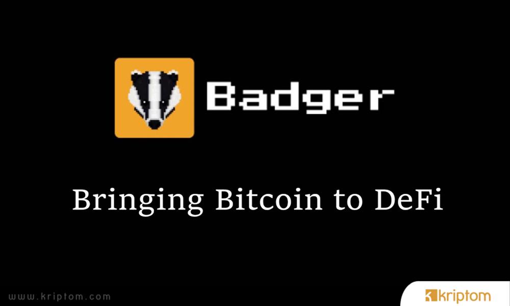 badger coin crypto