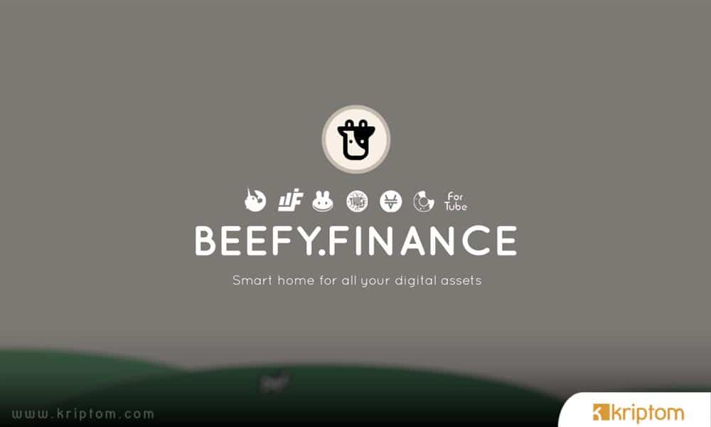 What is Beefy.Finance (BIFI)?  Here is the Crypto Money BIFI Token in All Details