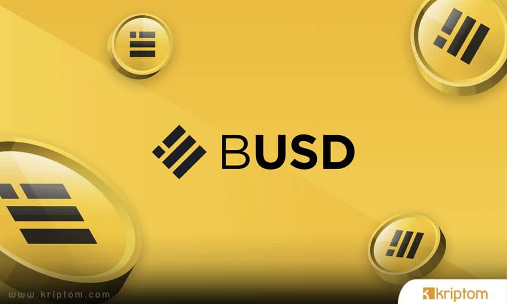 What is Binance USD (BUSD)?  Stablecoin BUSD Token in detail