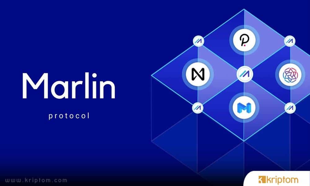 What is Marlin (POND)?  Here is the Crypto Money POND Coin in All Details