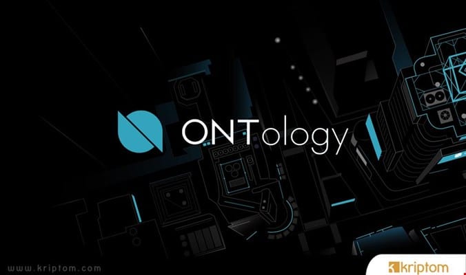 What is Ontology? ONT Coin with All Unknowns