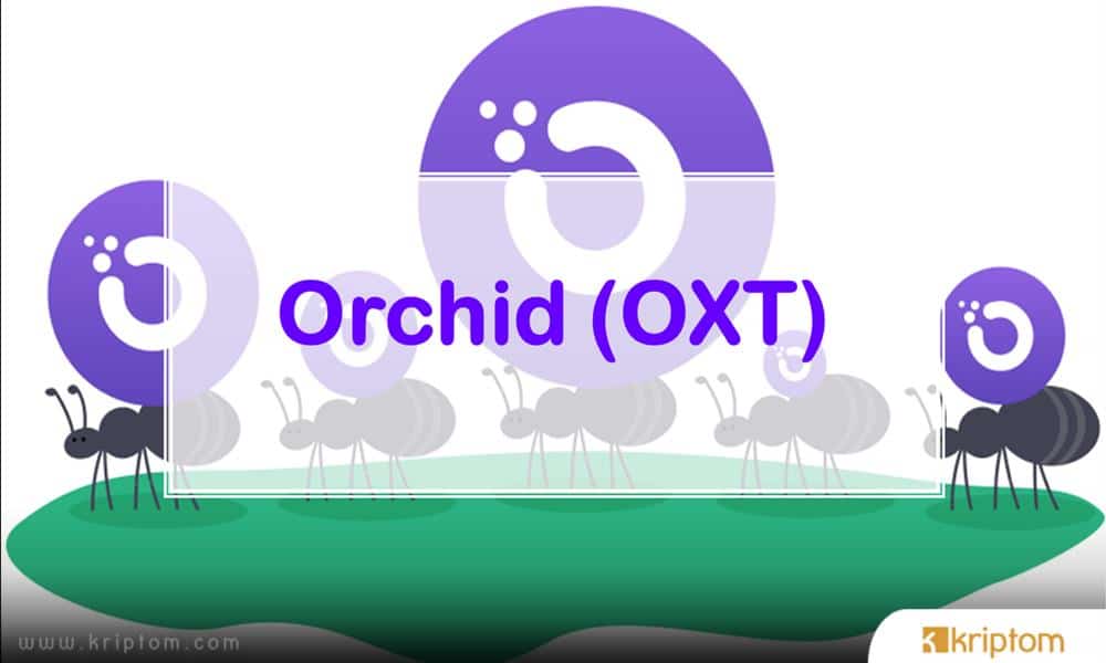 What is Orchid (OXT)?  Here is the Crypto Currency OXT Coin in All Details