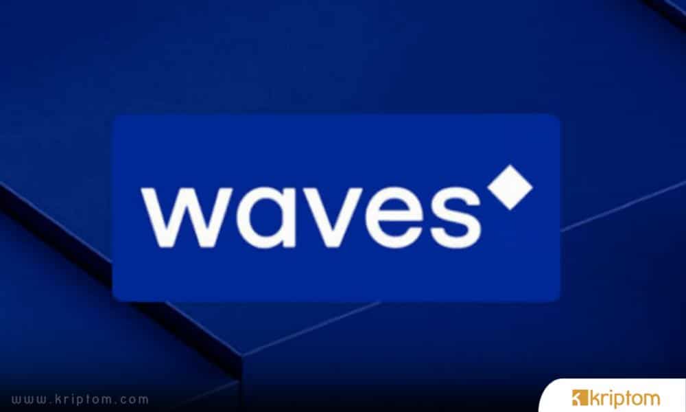 What is Waves Coin?  Here is the Crypto Currency WAVES Token in All Details