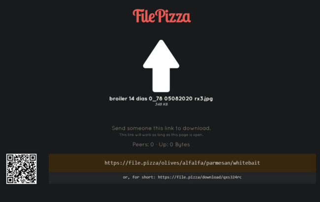 file.pizza