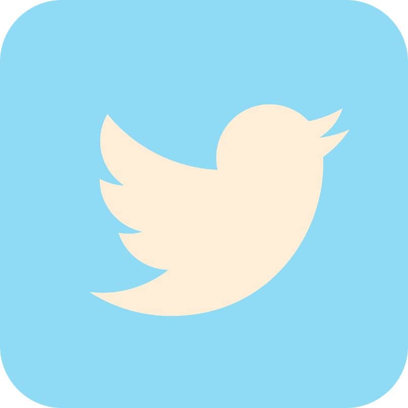 box logo twitter icon