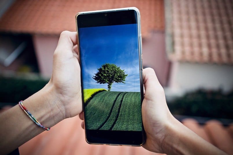 mobile with the photo of a tree on your screen
