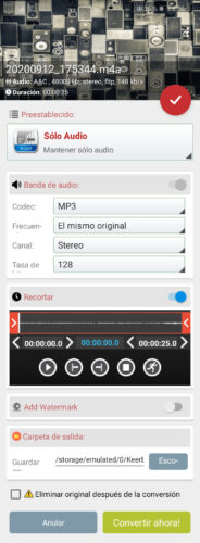 audio format factory options