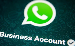 WhatsApp Business Explanations
