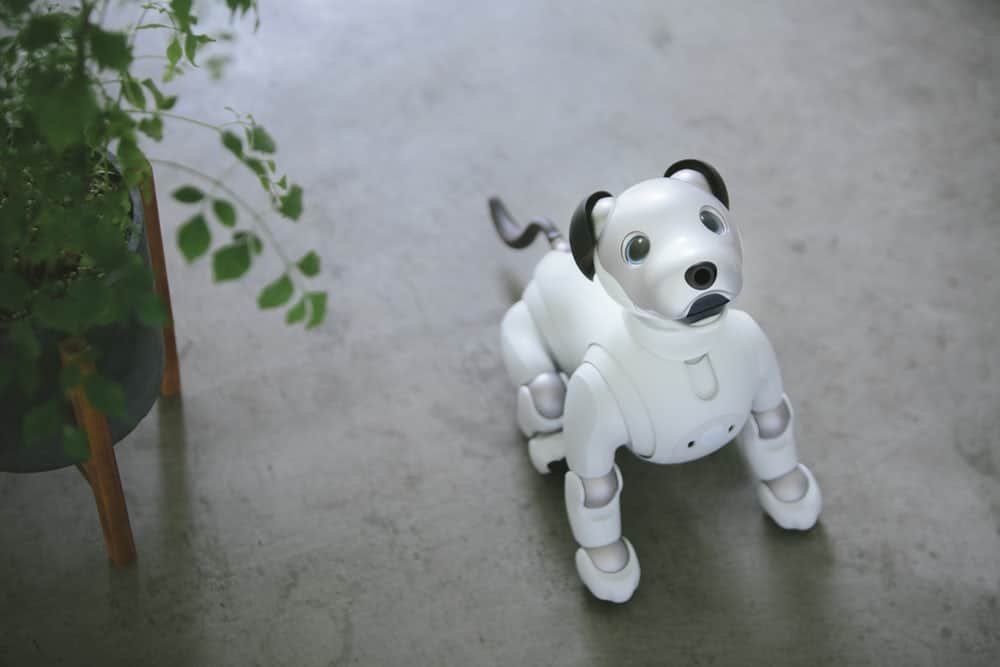 Aibo robotic dog from Sony is heading to the US market