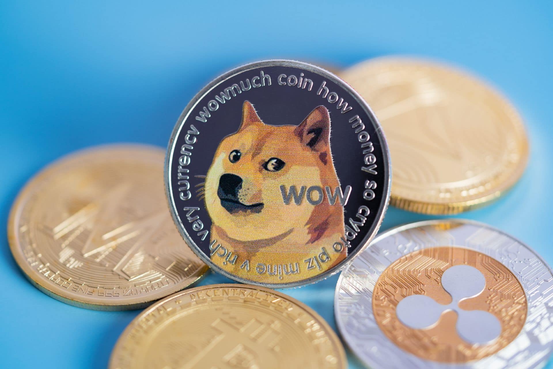 dogecoin browser hash