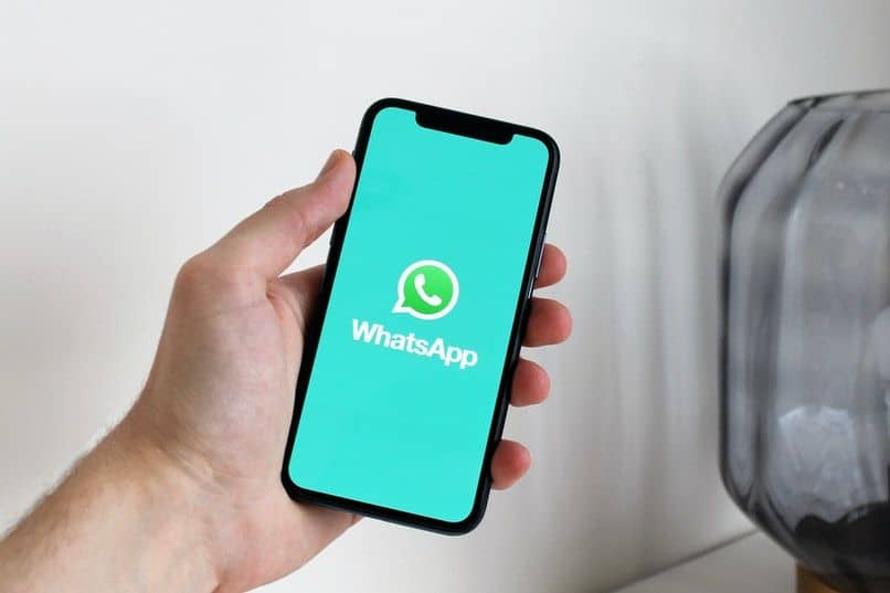 actualizar automaticamente whatsapp