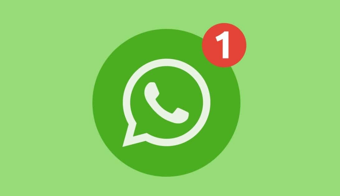 Options and ways to use the Status on Whatsapp