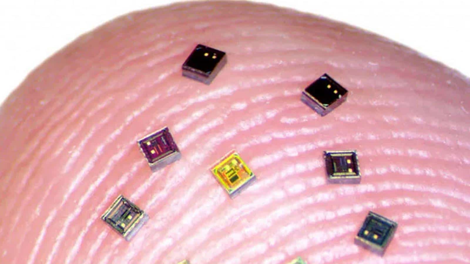 Scientists want to repair our brains with hundreds of microchips the size of a grain of salt