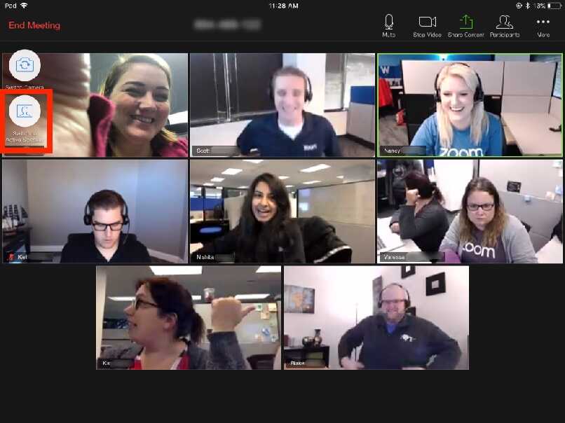 zoom video conference view