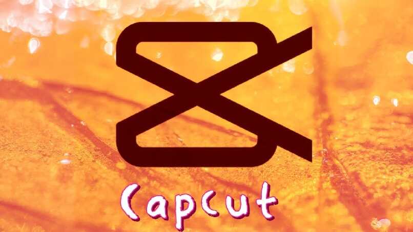How to Freeze Your Screen with Help from CapCut?  - Create the Best Video