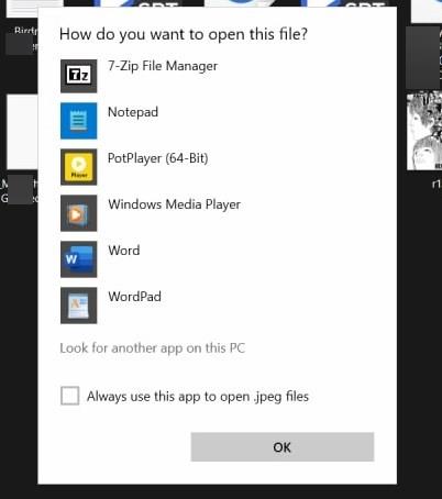 Open image of Windows 11 with another application