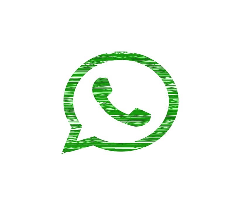How to know how many contacts you have on WhatsApp?  - All About Your Contacts