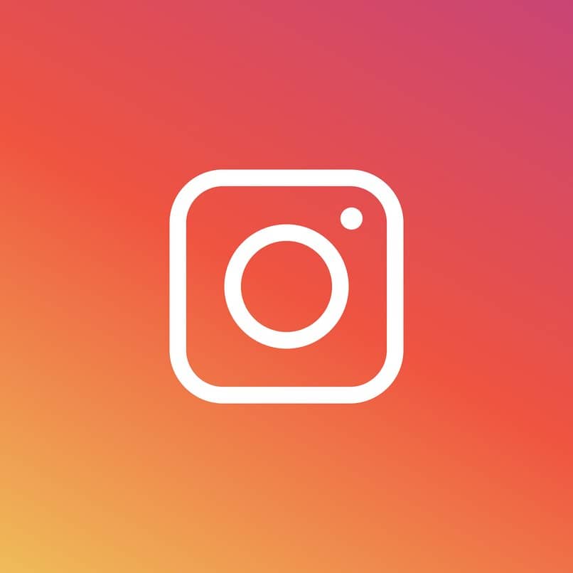 What does Website mean on Instagram?  - Solve all your doubts