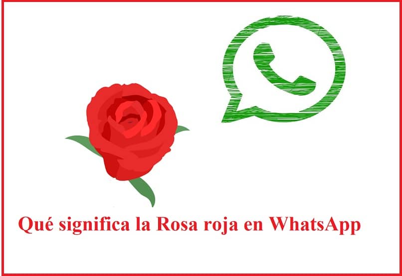 What does the red rose emoji mean in WhatsApp?  - Learn to use Emojis