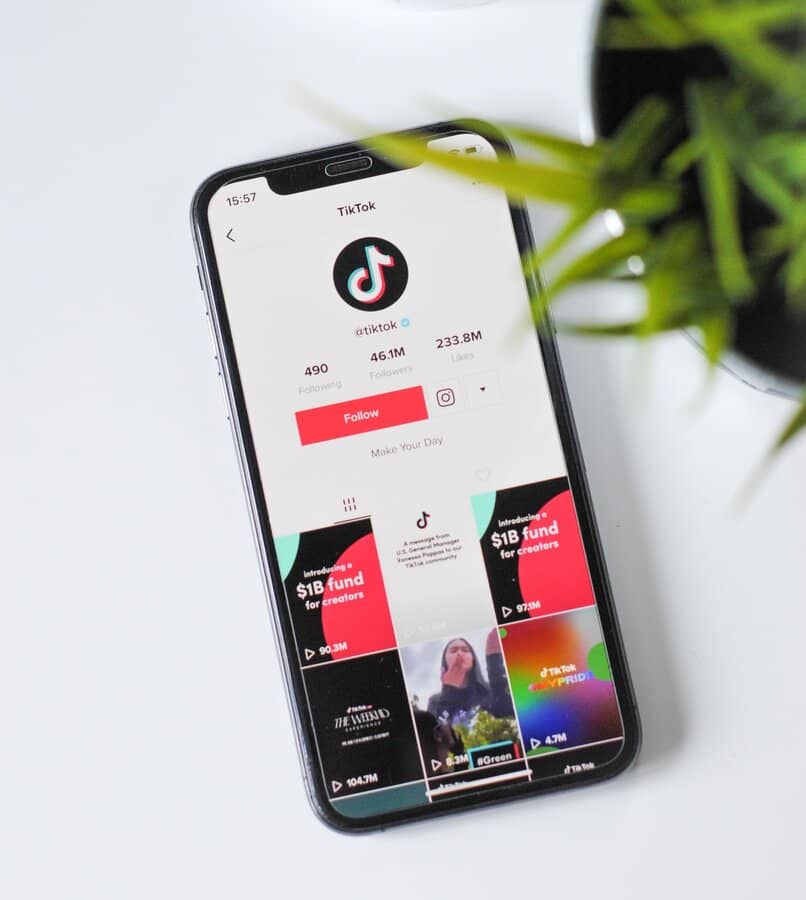 use the tiktok account on your smartphone