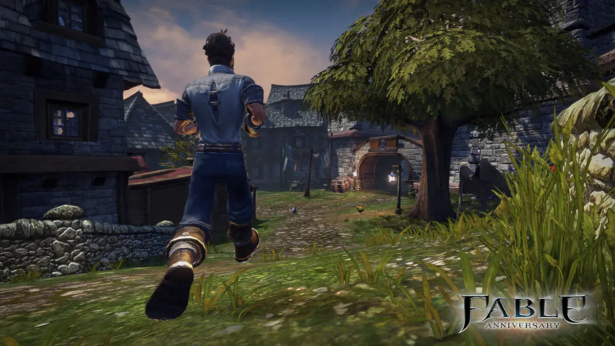 How to play Fable Anniversary on Linux