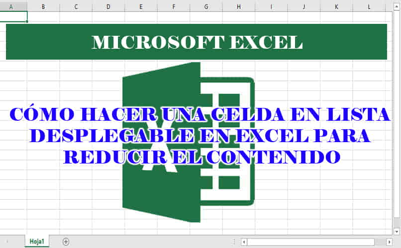 How to Make a Dropdown List Cell in Excel to Reduce Content - Complete Guide