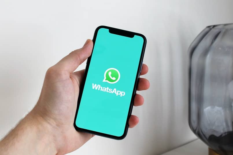 add users to whatsapp using qr 