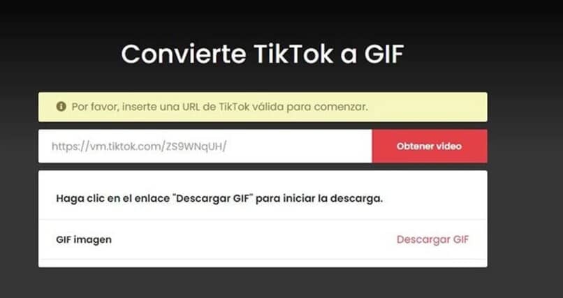program to convert videos from tiktok to gif