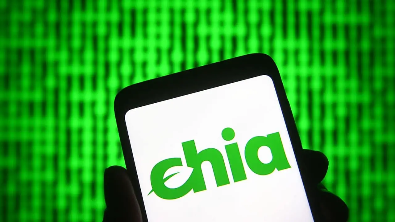 How Chia Coin works