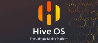 Static IP for HiveOS installation