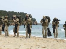 South Korean specialists still haven't got their "mothership" for amphibious operations