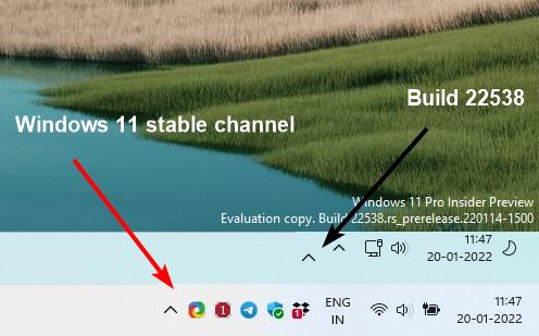 Problem with the two arrow icons in Windows 11