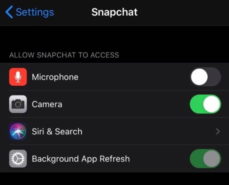 activate the microphone settings in your application