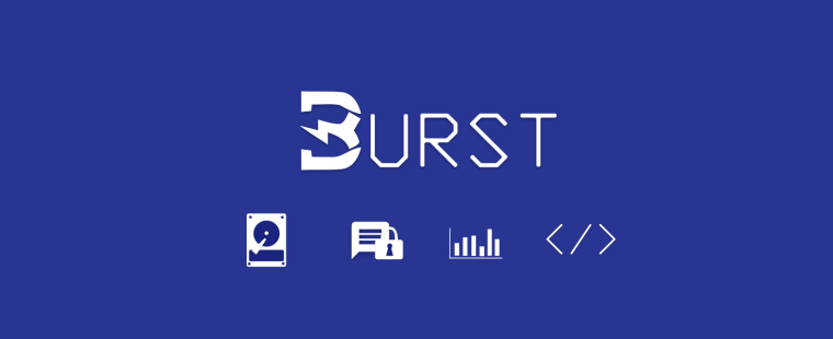 Burst logo
